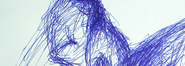Reflexões - Desenho de 2006