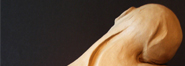 Torso de 2009