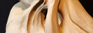 Torso de 2009