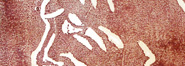 Gravura de 2004