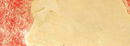 Gravura de 2004