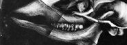 Quatro Novos Estudos (Detalhe) - Monotipia de 2016